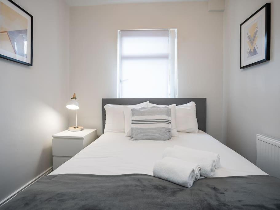 Cozy Townhouse, Walking Distance To Belfast City Dış mekan fotoğraf