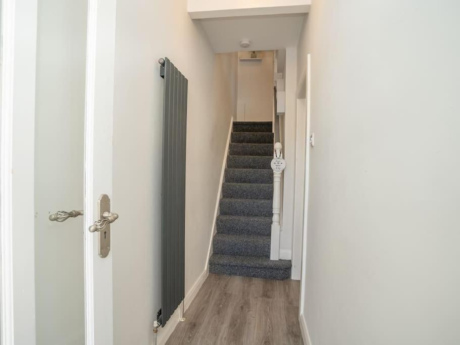 Cozy Townhouse, Walking Distance To Belfast City Dış mekan fotoğraf