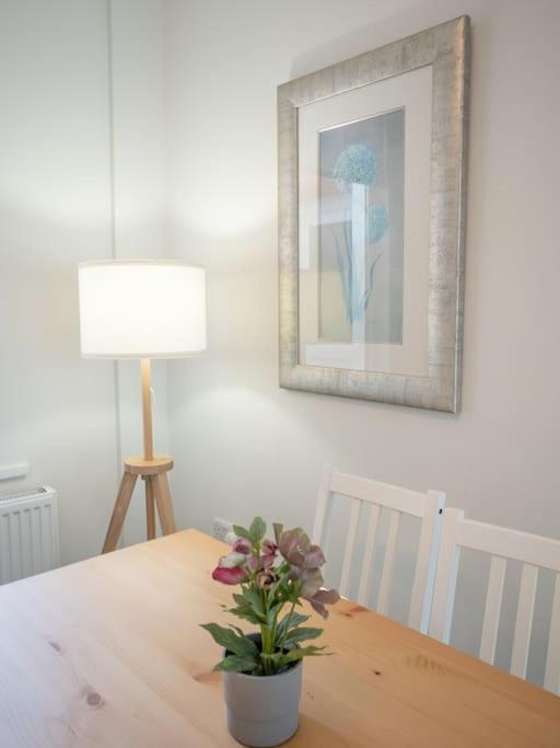 Cozy Townhouse, Walking Distance To Belfast City Dış mekan fotoğraf